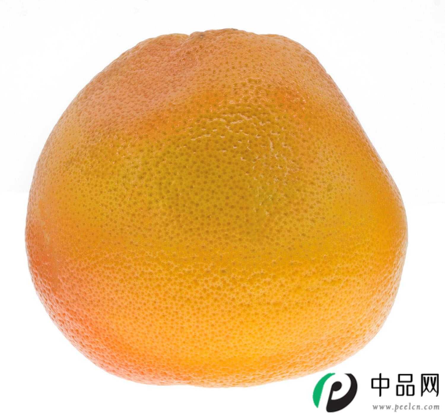 柚子 柚子