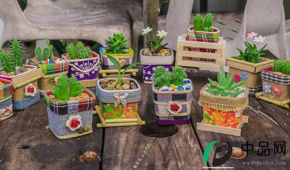 花卉 花卉