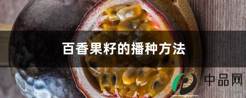 百香果籽的播种方法,晒不到太阳能结果吗 百香果籽的播种方法,晒不到太阳能结果吗