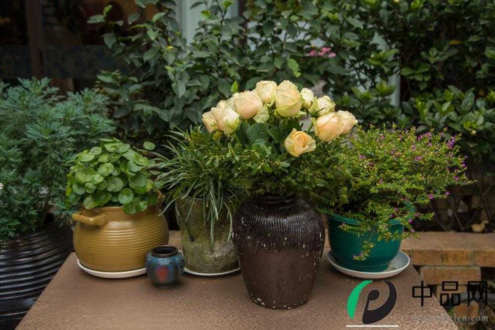 花卉