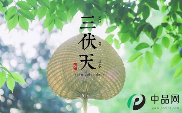 2024三伏天是几号到几号1